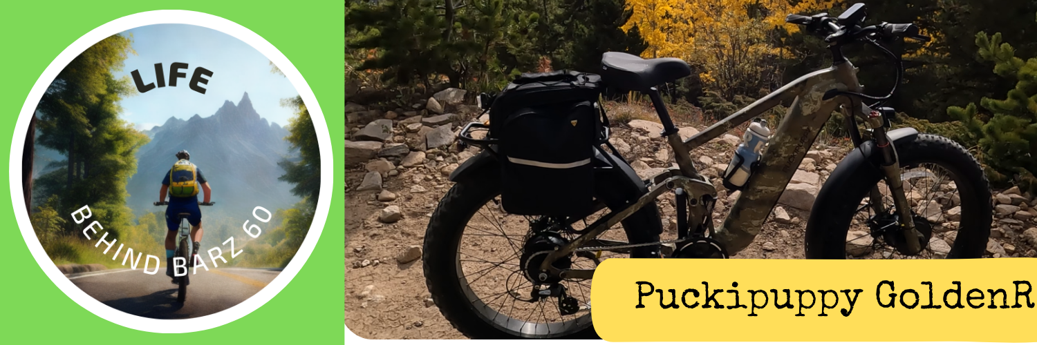 Puckipuppy GoldenR ebike review main image
